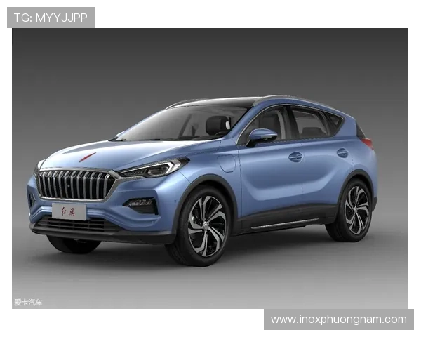 探索DG视讯在中国市场的品牌发展与合作伙伴关系动态